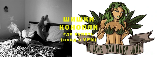 ешки Бронницы