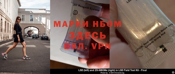 амф Бородино