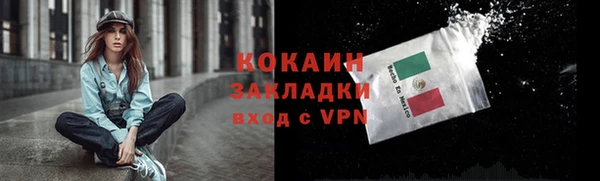 ешки Бронницы