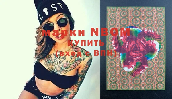 амф Бородино