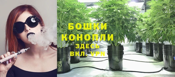 амф Бородино