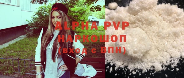 амф Бородино