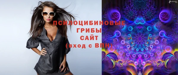 ешки Бронницы
