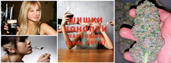 ешки Бронницы