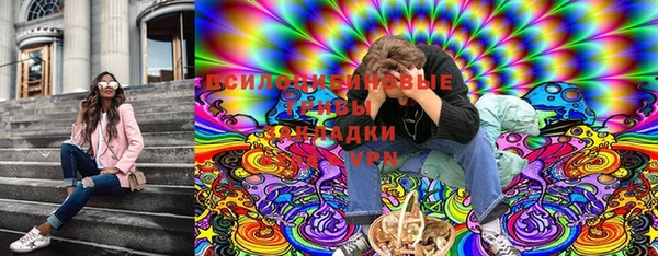 ешки Бронницы