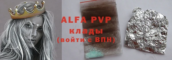 амф Бородино