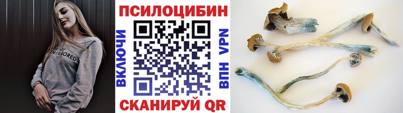 Галлюциногенные грибы GOLDEN TEACHER  Навашино 